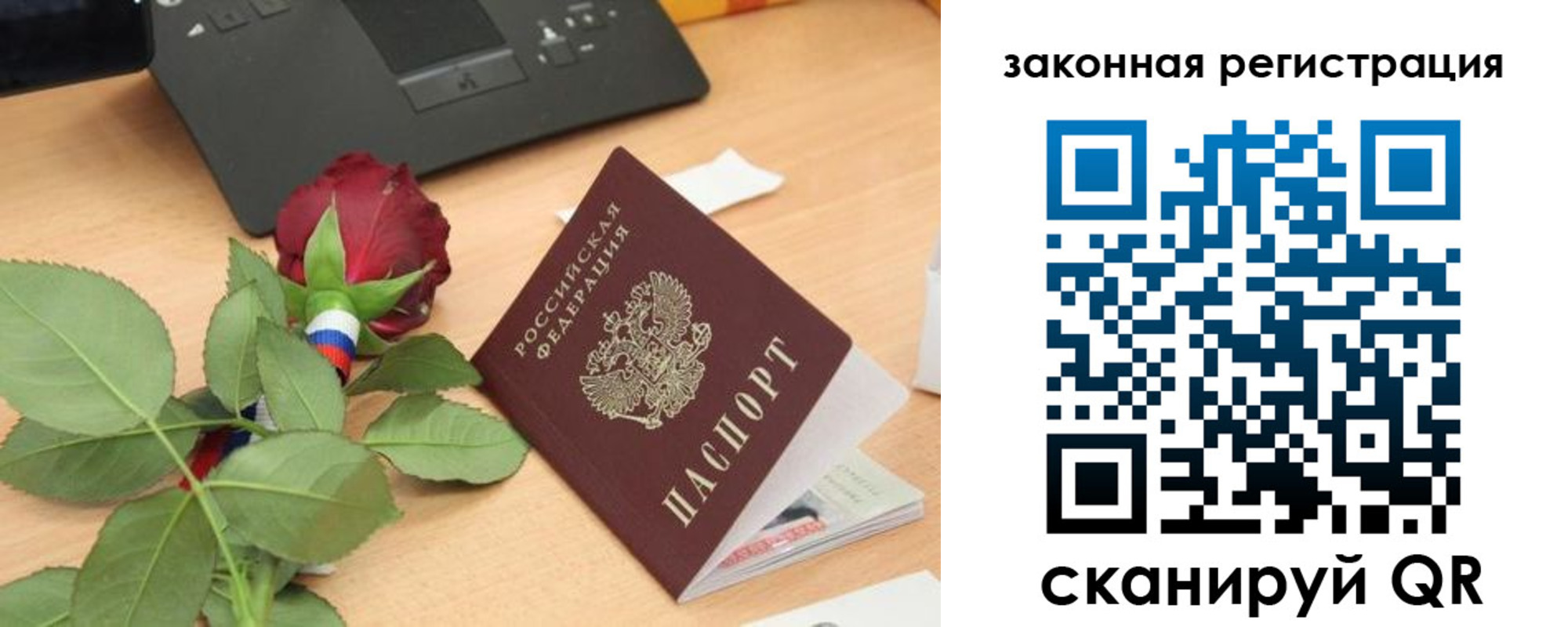 прописка в Полярных Зорях